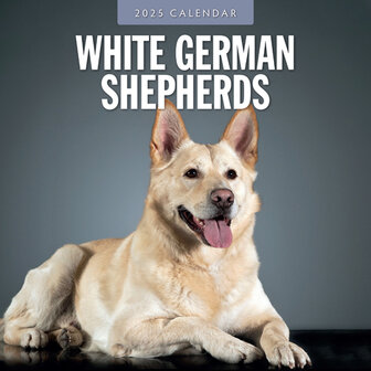 White German Shepherds calendar 2025