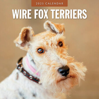 Wire Fox Terriers calendar 2025