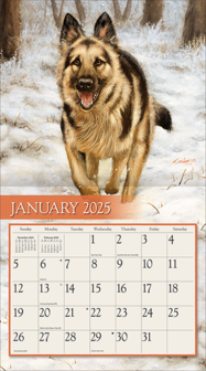 LANG Kalender 2025 Love of Dogs 