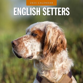 English Setters kalender 2025