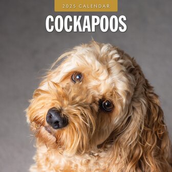 Cockapoos calendar 2025