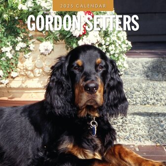 Gordon Setters calendar 2025