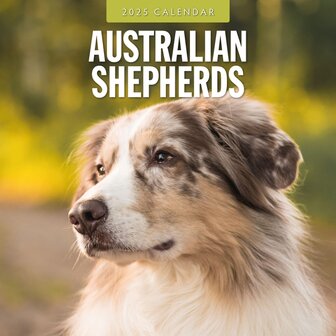 Australian Shepherds calendar 2025