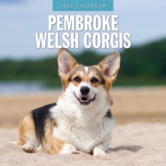 Pembroke Welsh Corgi calendar 2025