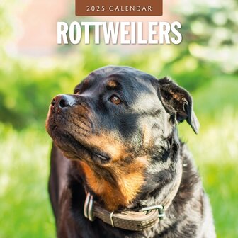 Rottweilers calendar 2025