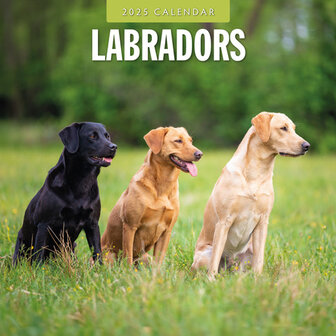 Labrador Retrievers calendar 2025