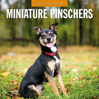 Miniature Pinschers calendar 2025