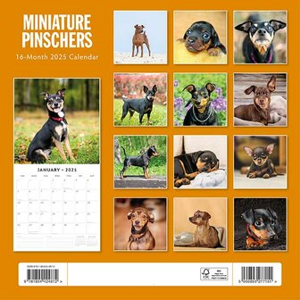 Miniature Pinschers kalender 2025