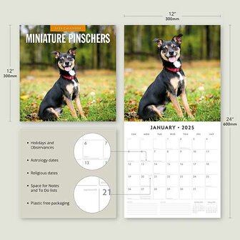 Miniature Pinschers kalender 2025