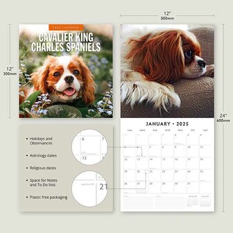 Cavalier King Charles Spaniels calendar 2025