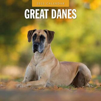 Great Danes calendar 2025