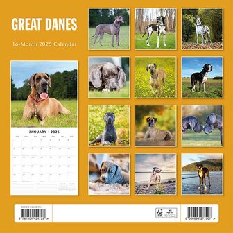 Great Danes calendar 2025