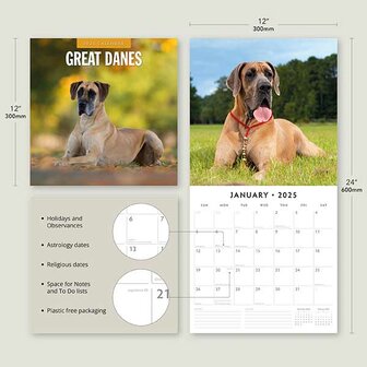 Great Danes kalender 2025