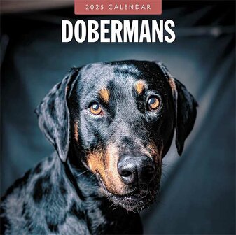 Dobermans calendar 2025