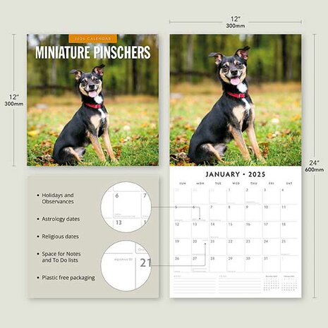 Miniature Pinschers calendar 2025